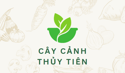 Cây cảnh Thủy Tiên